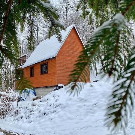 Chata Pod Pindulou Villa Rožnov pod Radhoštěm Exterior foto