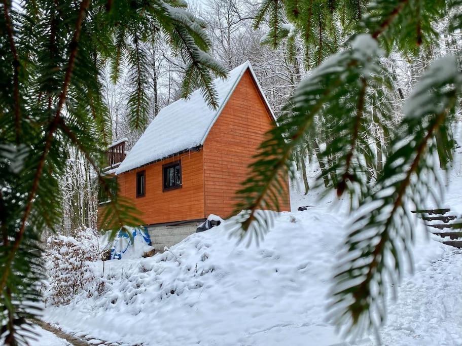 Chata Pod Pindulou Villa Rožnov pod Radhoštěm Exterior foto